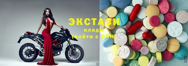 индика Зеленокумск