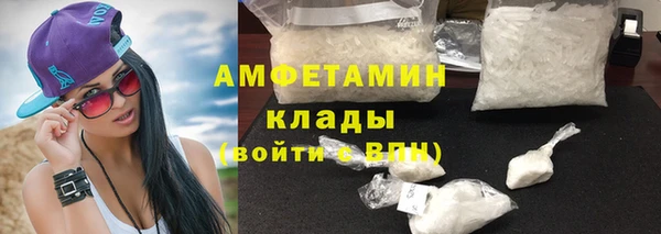 индика Зеленокумск