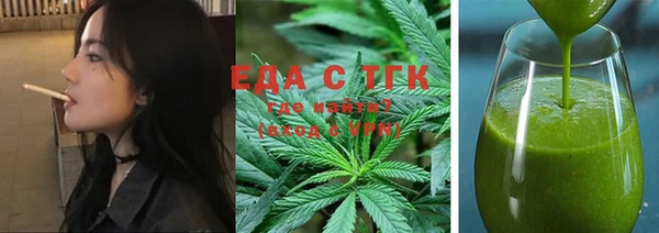 индика Зеленокумск