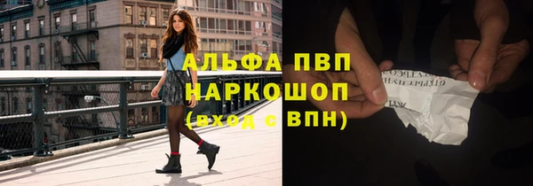 индика Зеленокумск