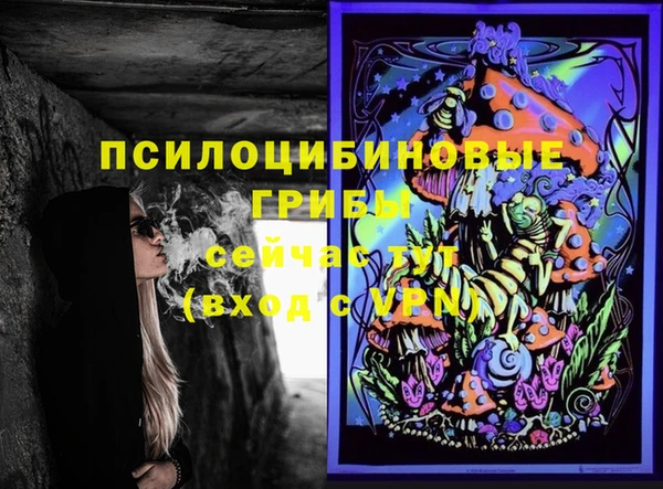 ПСИЛОЦИБИНОВЫЕ ГРИБЫ Зерноград