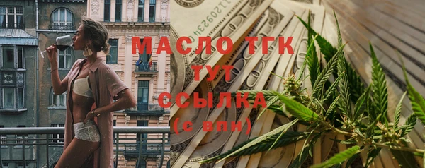 индика Зеленокумск