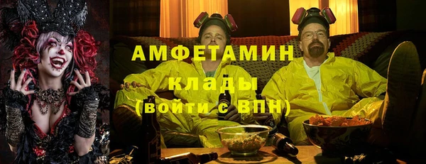 индика Зеленокумск