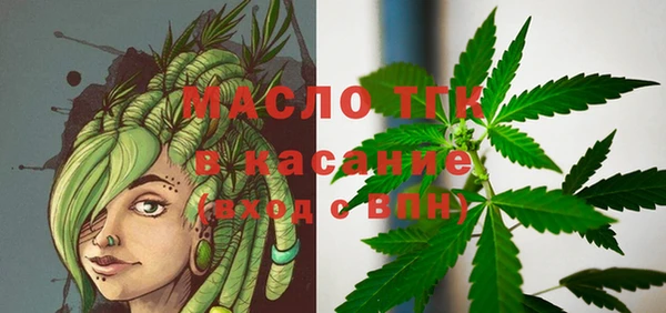 индика Зеленокумск