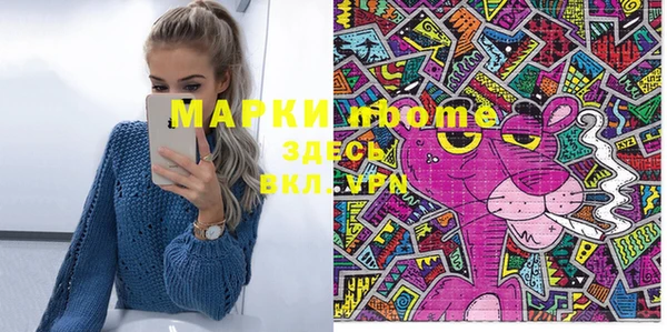 индика Зеленокумск
