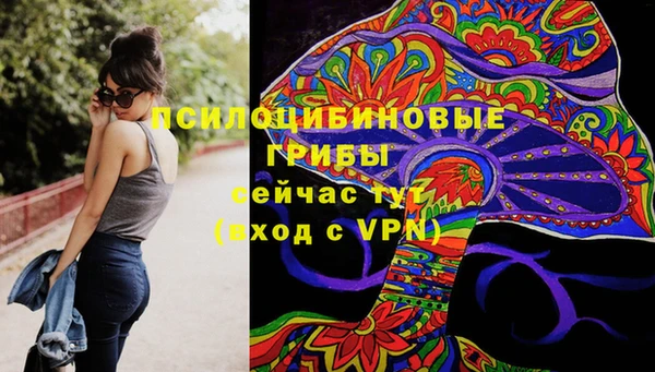 2c-b Зеленодольск